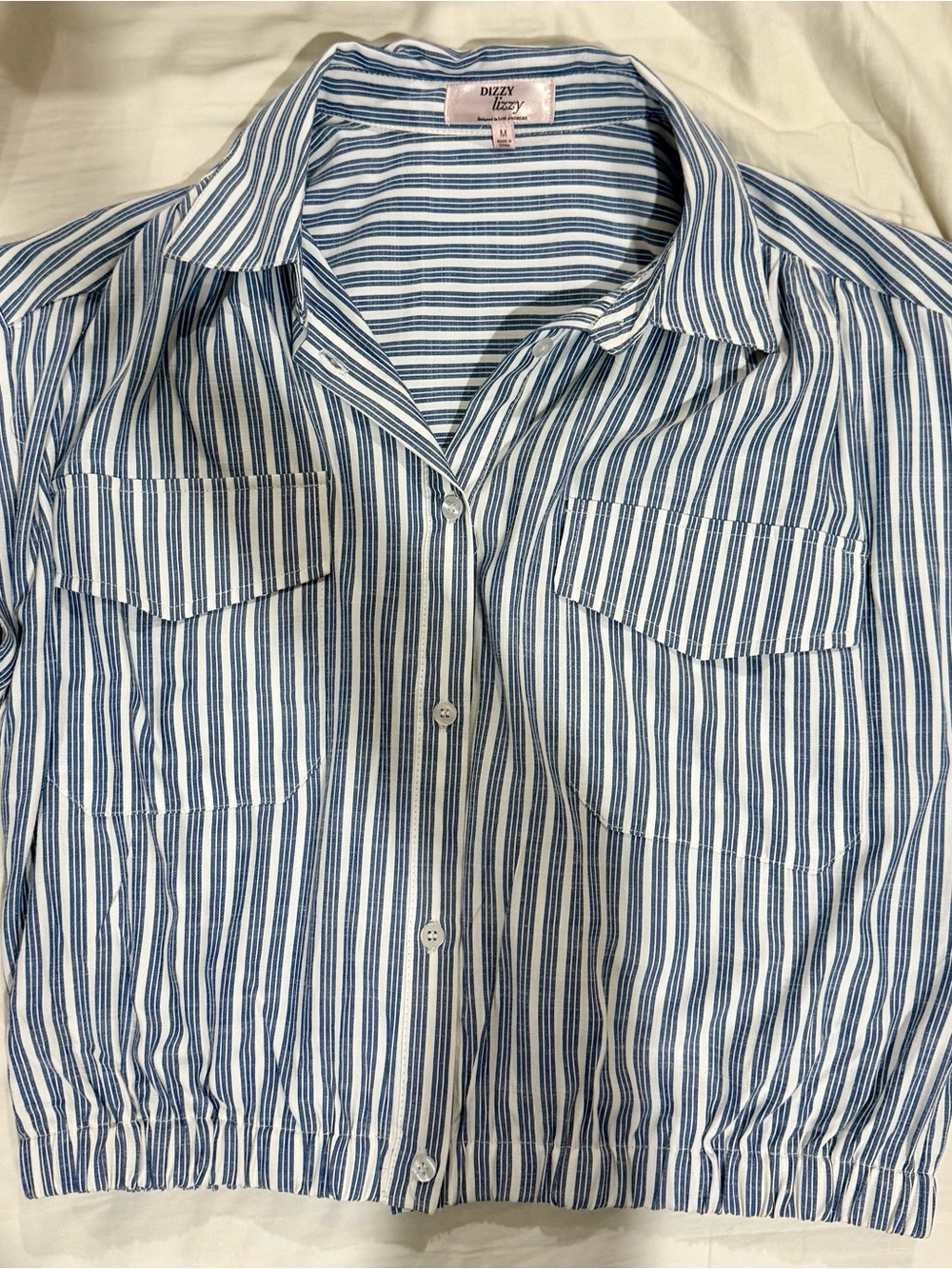 Blue Stripe Button-Front Dizzy Lizzy Crop Shirt